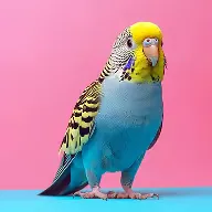 The safest way to meet, adopt, and love your future pet companion