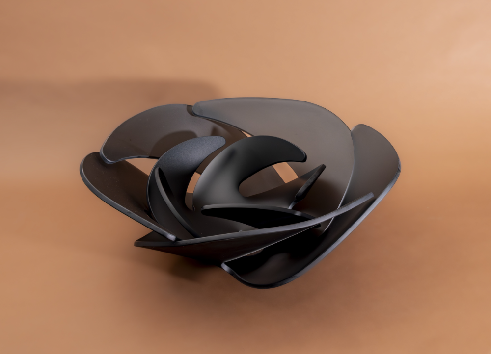 Portfolio Image