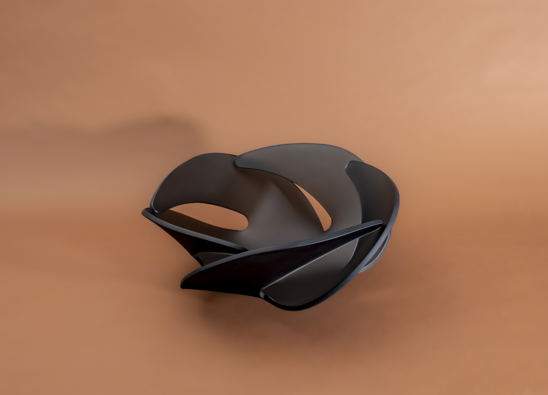 Portfolio Image