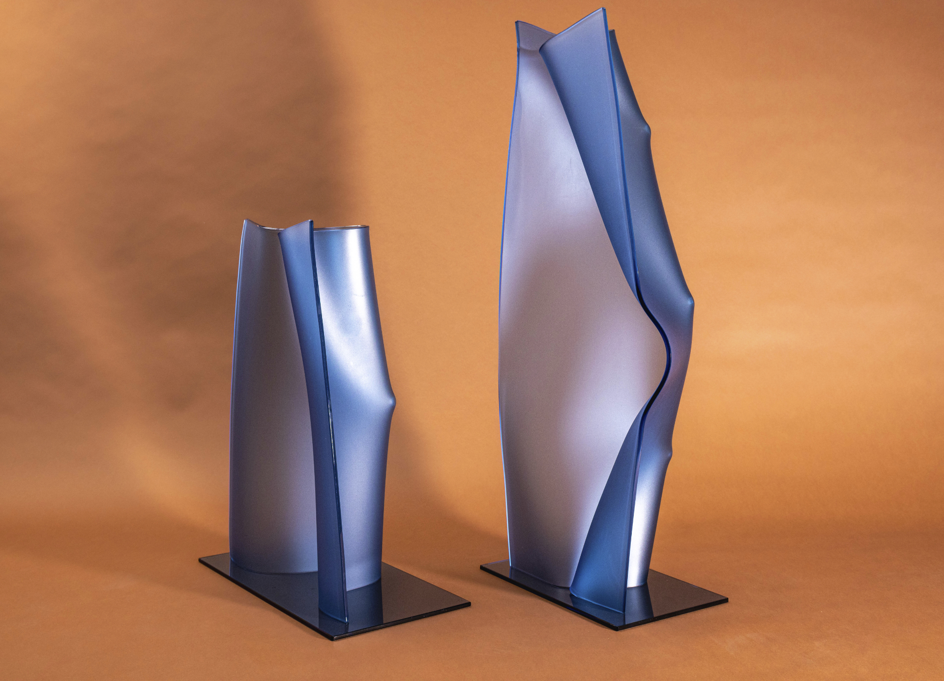 Portfolio Image