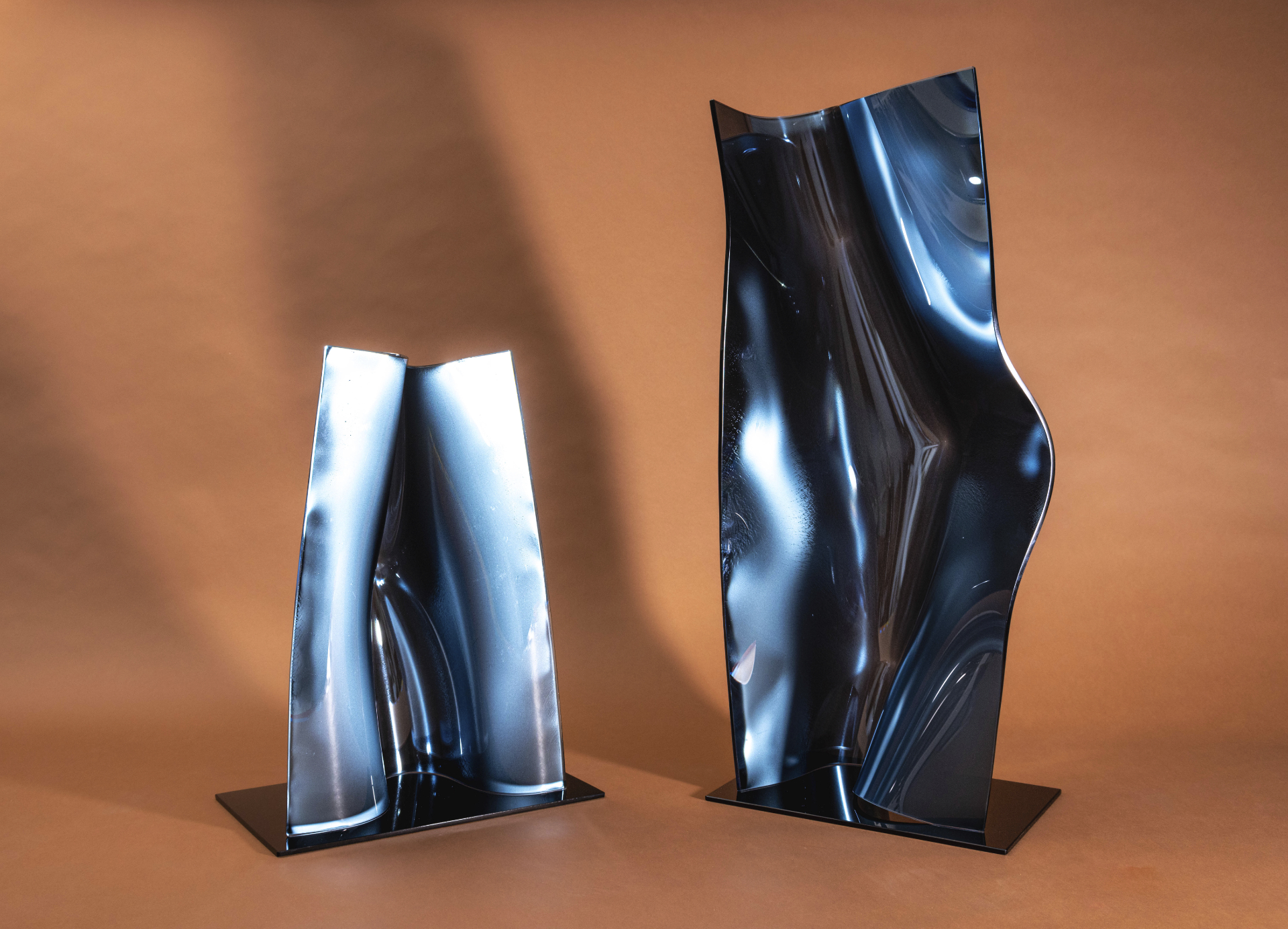 Portfolio Image