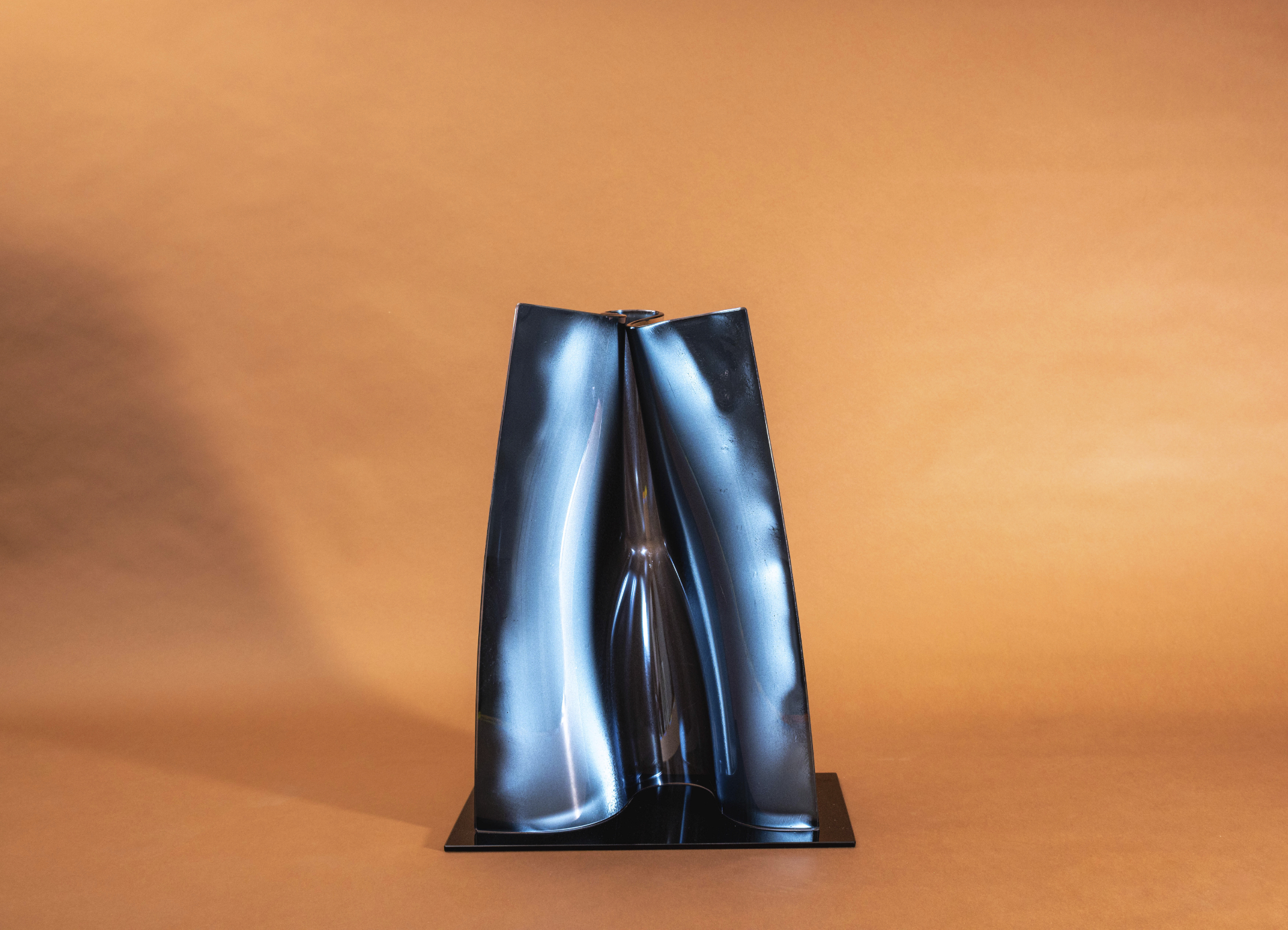 Portfolio Image