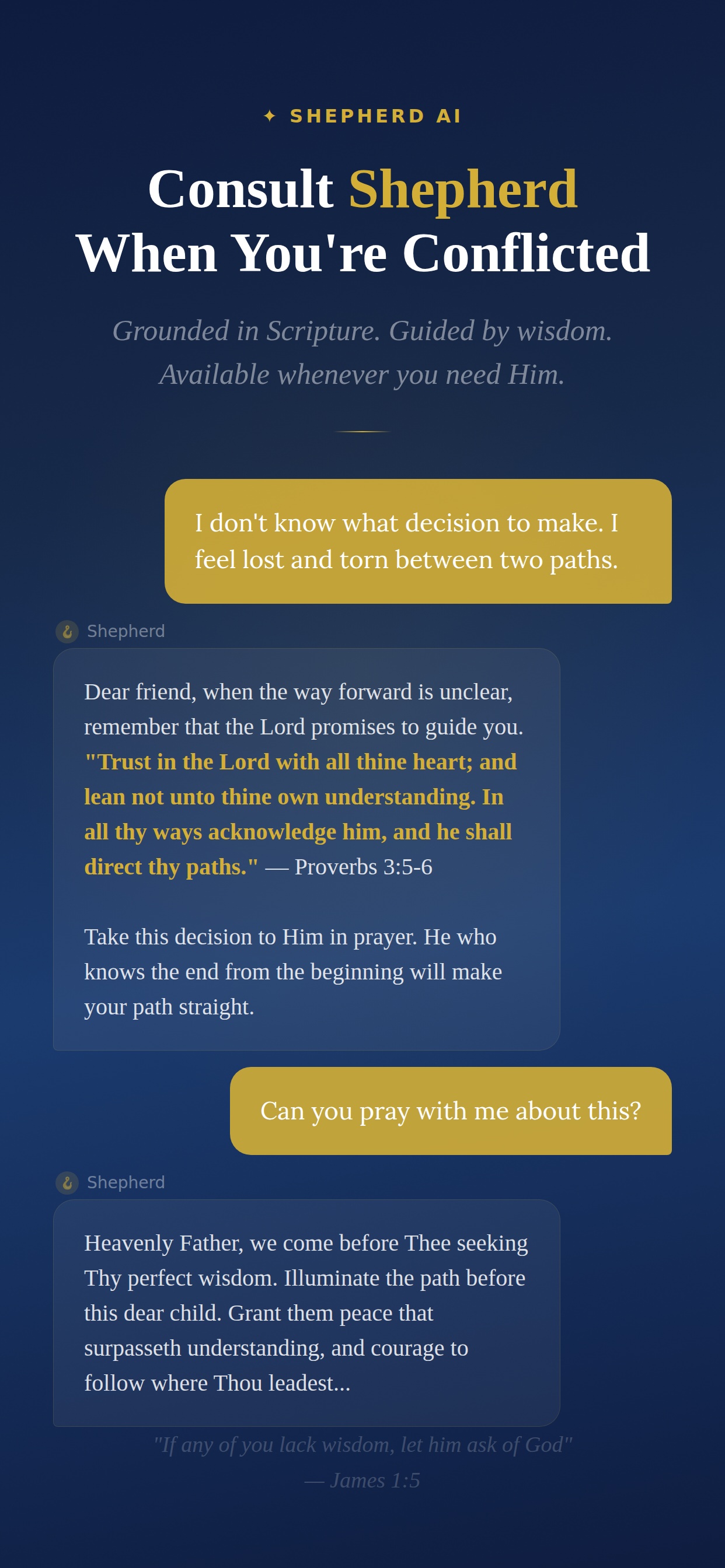 [digital project] image of a past client project (for a consulting firm)