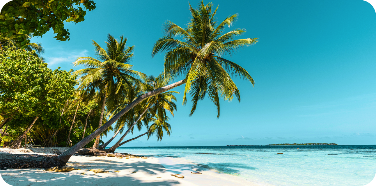 Book hotels with crypto on CoinBooking