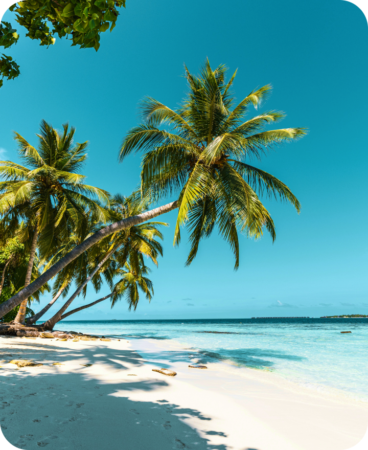 Book hotels with crypto on CoinBooking