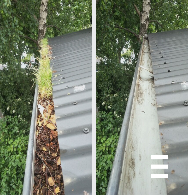 Gutter Cleaning