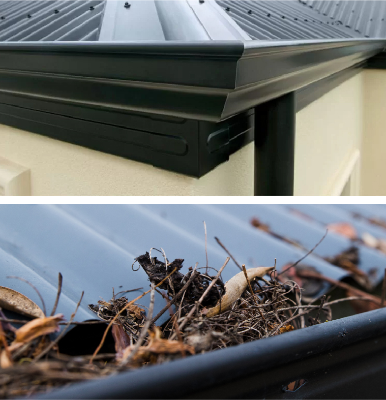 Gutter Cleaning