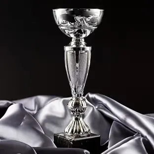 Web Excellence Awards