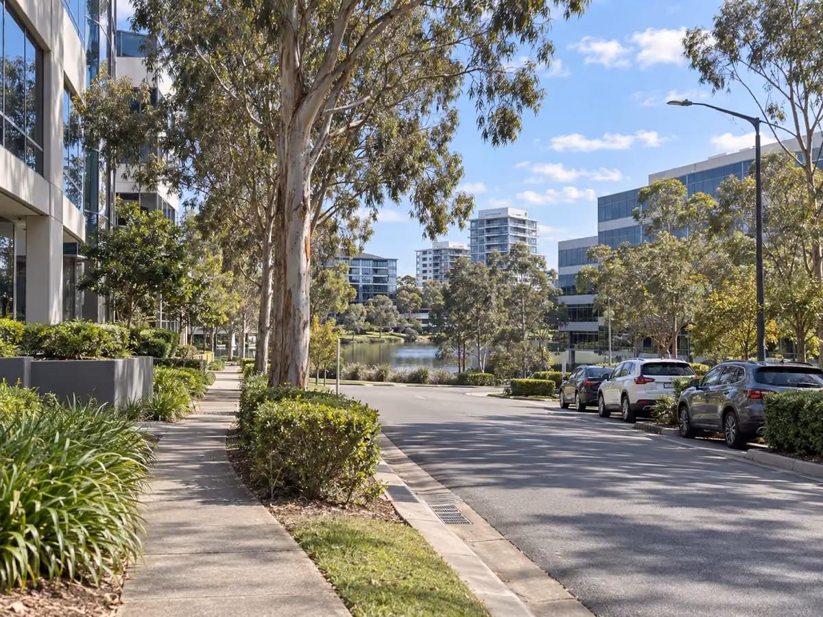 Tree-lined street through Norwest Business Park, where Elscomm provides managed IT services