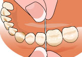 floss-teeth