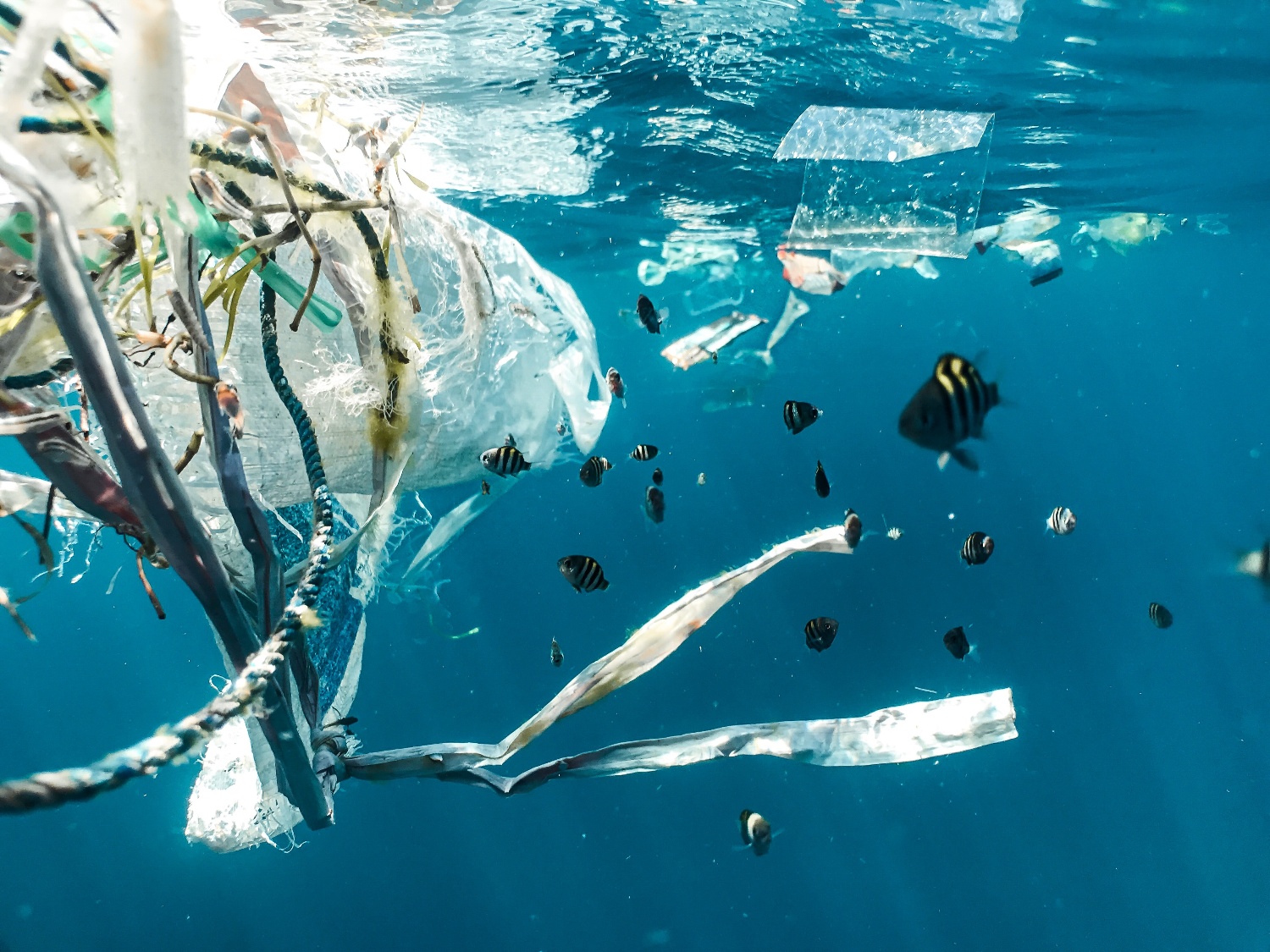 Microplastics drijven in oceaanwater als visuele waarschuwing voor hun impact op mens en milieu