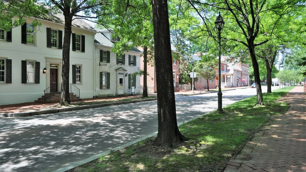 Quiet street with Tetmet USA office building, brick sidewalks, and green trees casting shadows on the road.