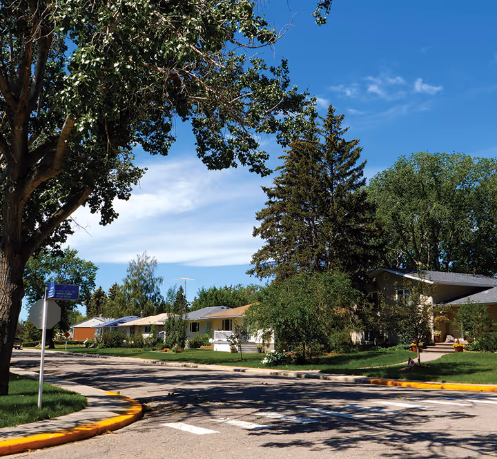 Residential street with single-story houses surrounded by green lawns and large trees on a sunny day.