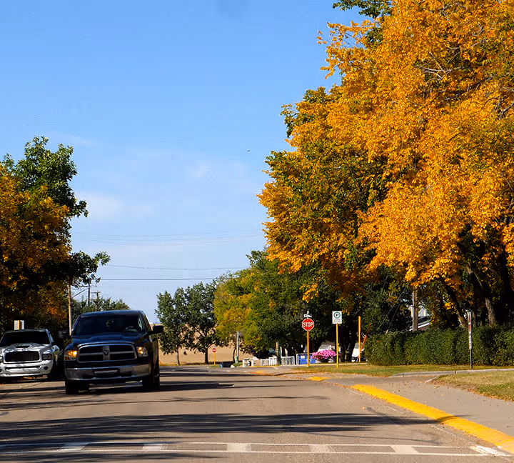 Street with parked and moving vehicles, surrounded by trees with green and orange autumn leaves.
