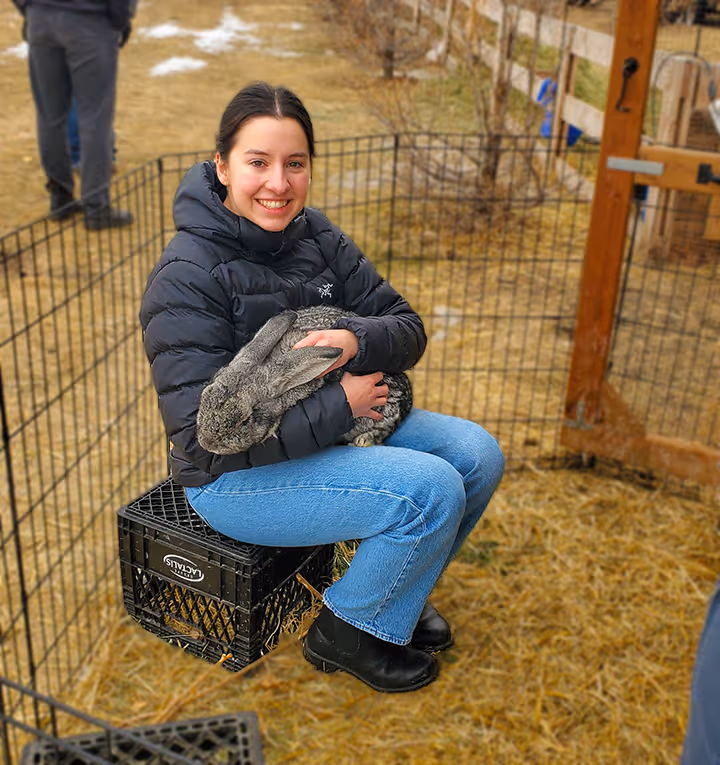 Smiling woman in black jacket holding a large gray rabbit while sitting on a crate inside a pen.