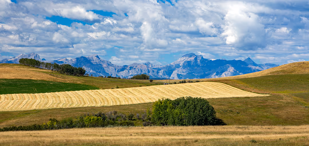 Rolling fields with harvested hay and green grass under a partly cloudy sky with mountains in the distance.