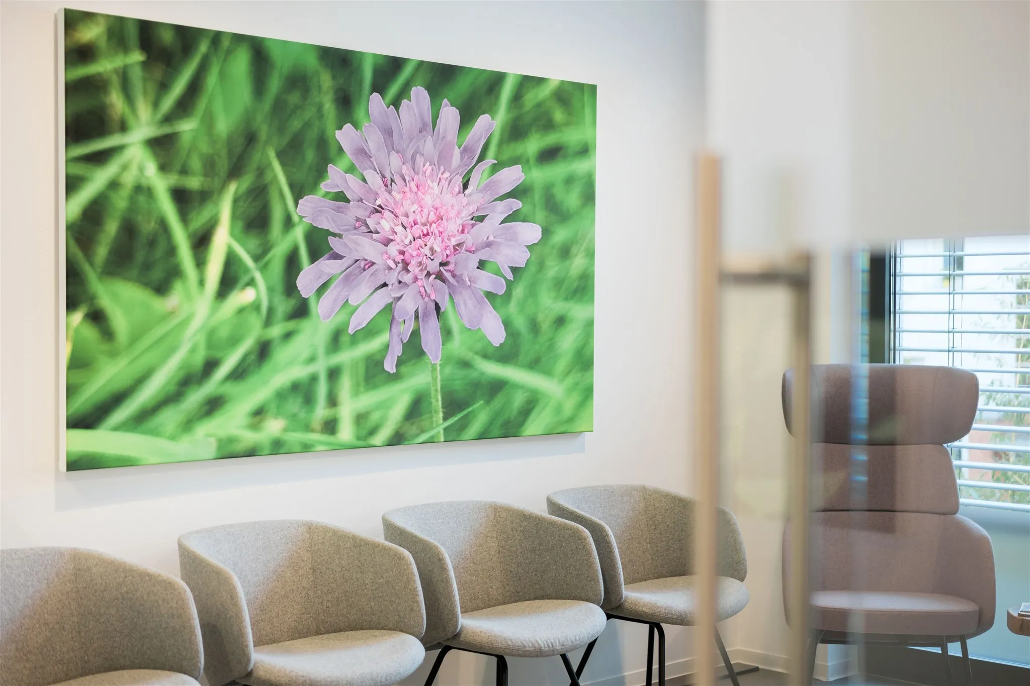 Der Wartebereich hell und geräumig mit einem großen Bild über den Stühlen mit dem Motiv einer lila Blume im saftig grünen Gras.