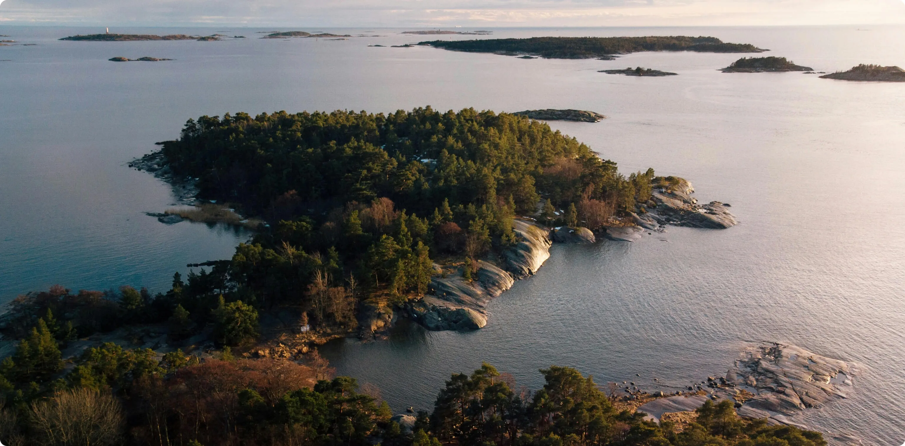 Aerial view of a forested island with rocky shoreline surrounded by calm sea and distant small islands.