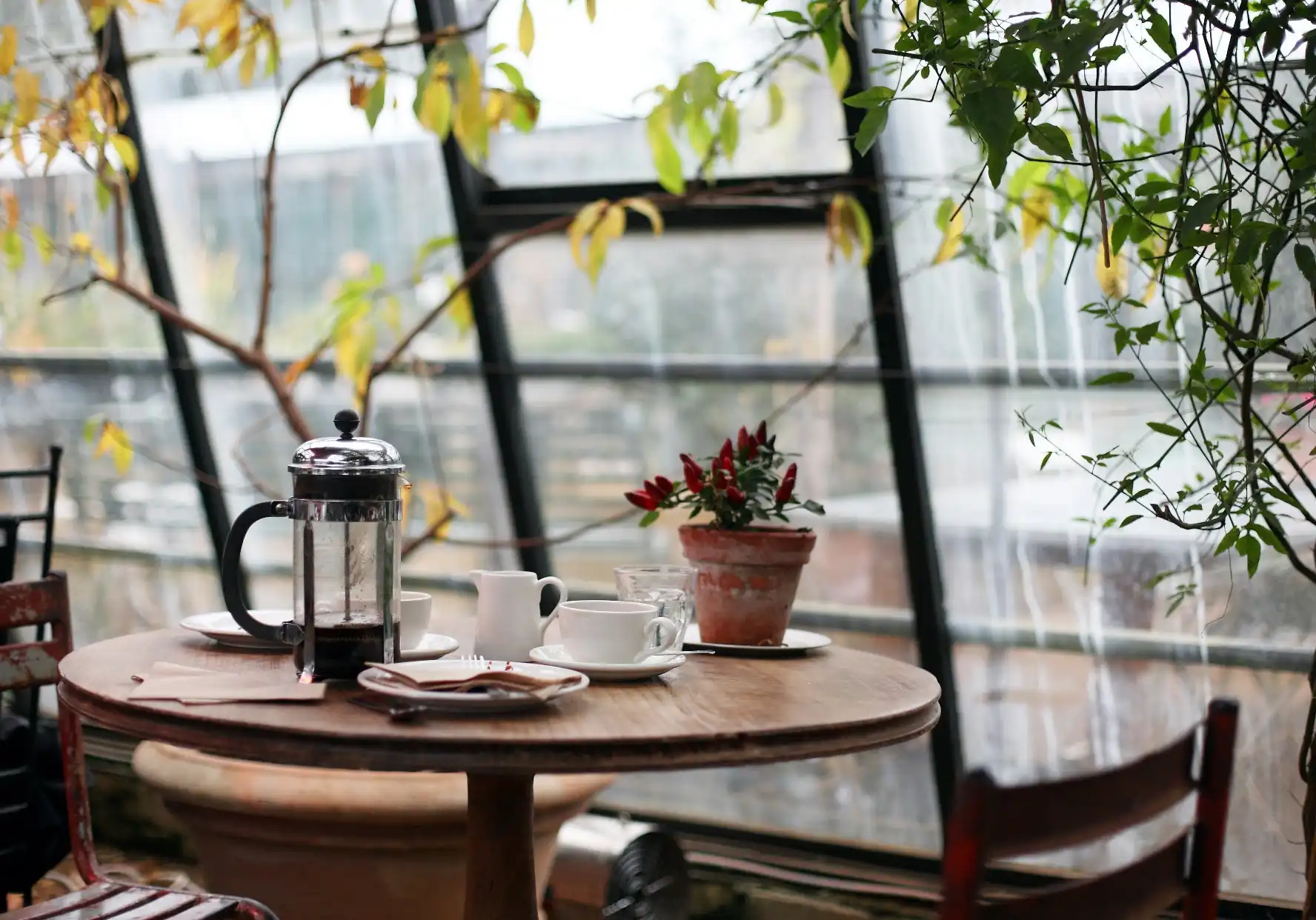 Cozy café scene with wooden table, French press, cups, and a potted plant. Sunlight filters through large windows, casting a warm, inviting glow.