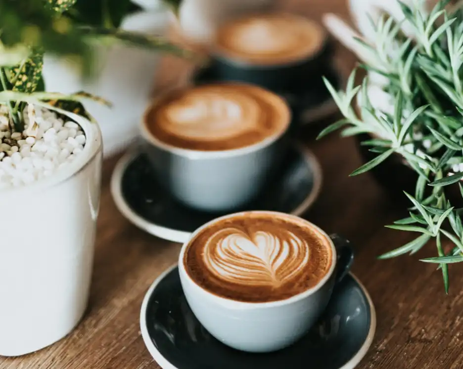A row of cappuccinos in dark cups, each with heart-shaped latte art. Surrounded by potted green plants on a wooden table, creating a cosy café vibe.