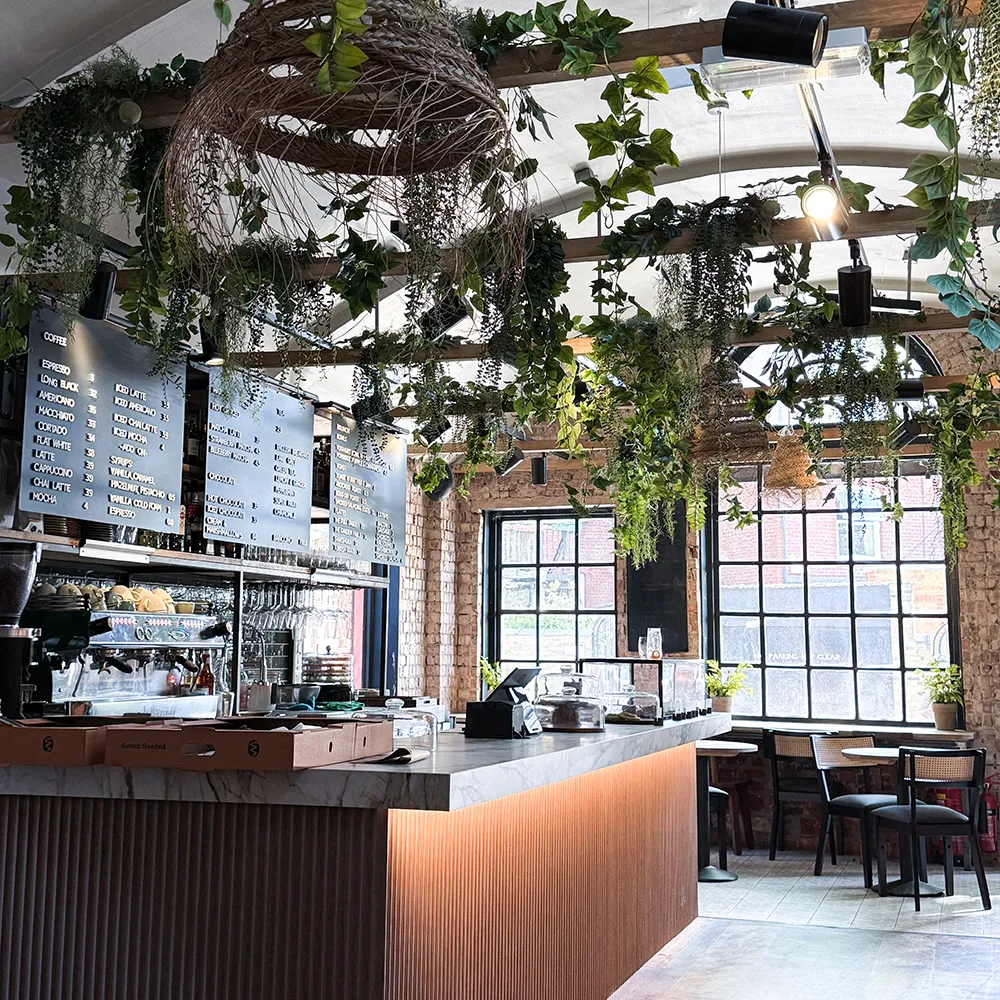 Cozy café scene with wooden table, French press, cups, and a potted plant. Sunlight filters through large windows, casting a warm, inviting glow.