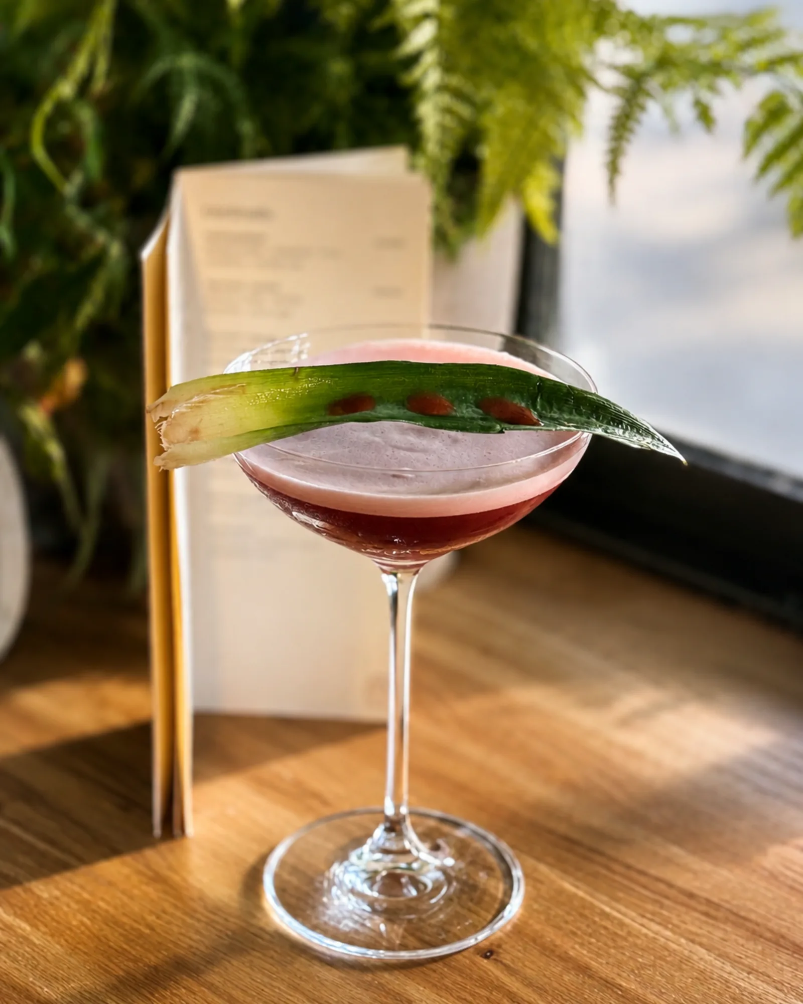 A pink cocktail with a foamy top in a coupe glass, garnished with a long leaf, beside a menu and ferns in warm sunlight.
