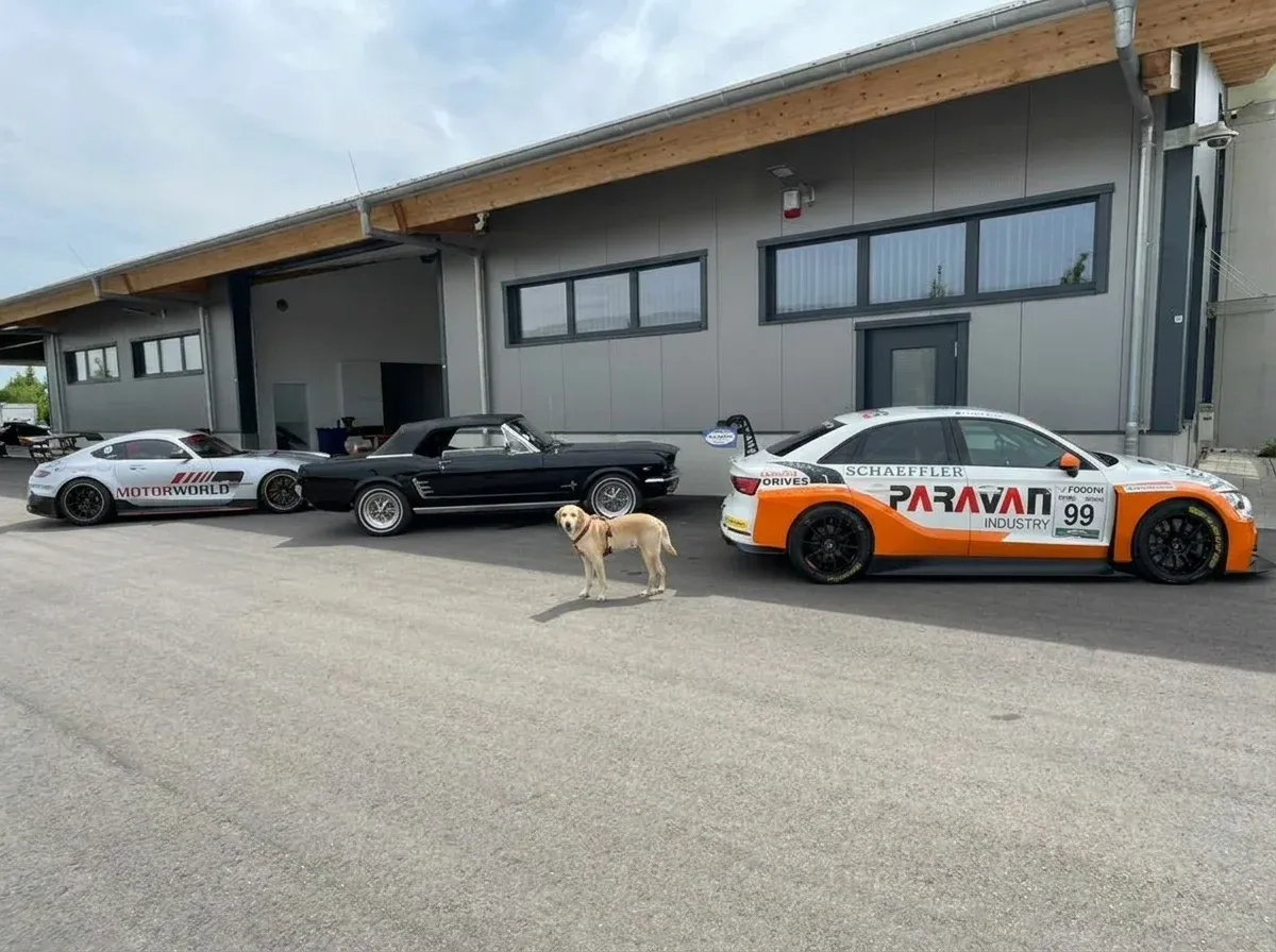 Three parked cars including a white and orange racing car, a black classic convertible, and a white sports car with Motorworld branding, with a yellow Labrador standing in front of them outside a modern building.