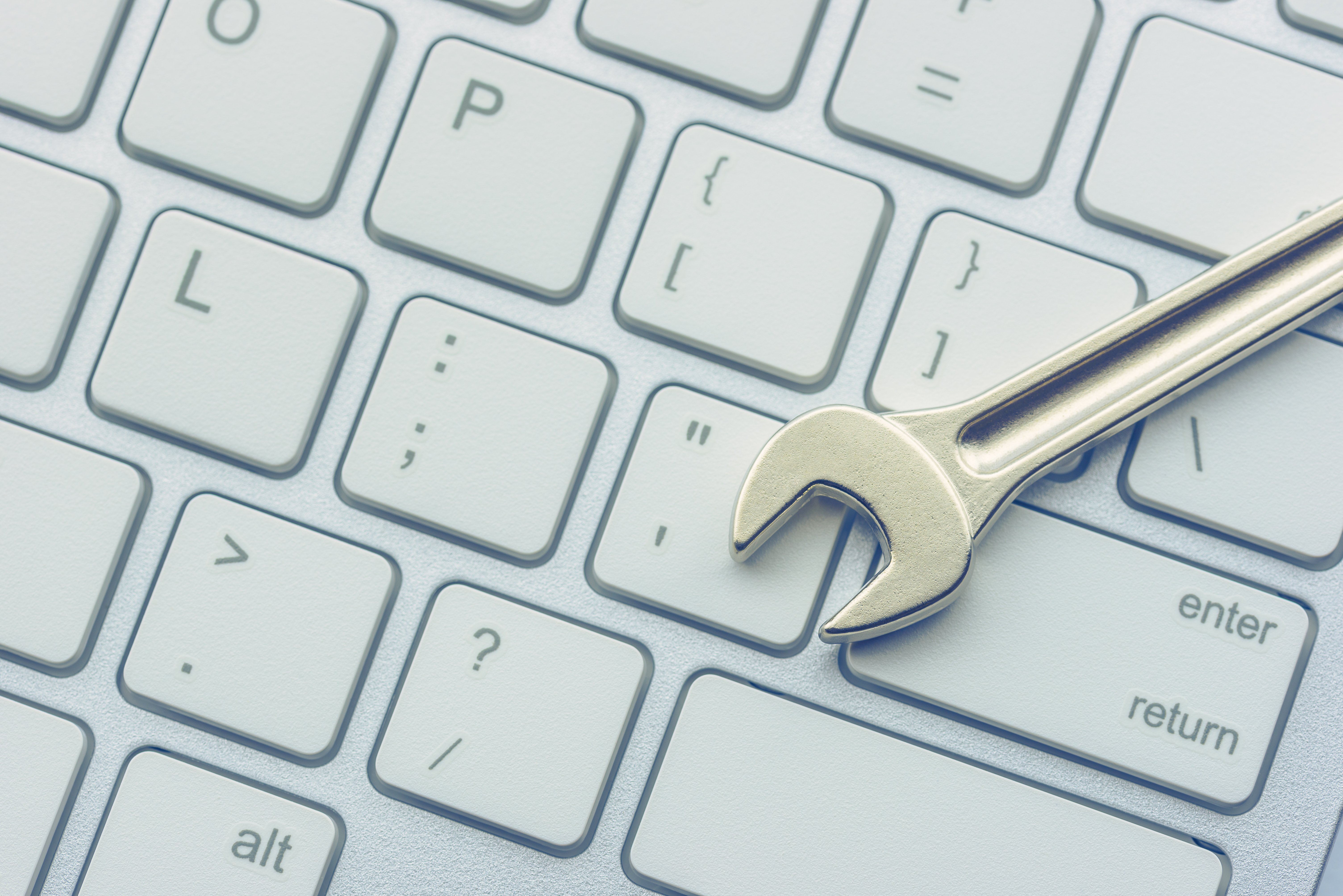 shutterstock_1488650327