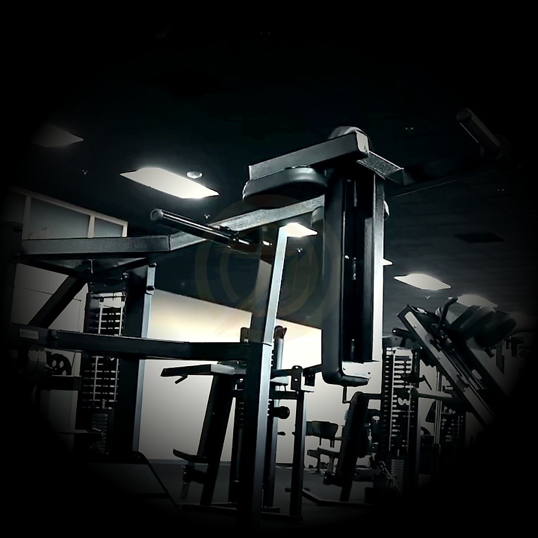 Watson Equipment at Essential Gym Pittsburgh