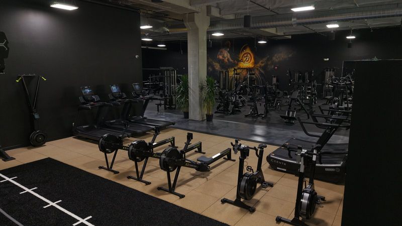 Concept 2 cardio setup at Essential Gym