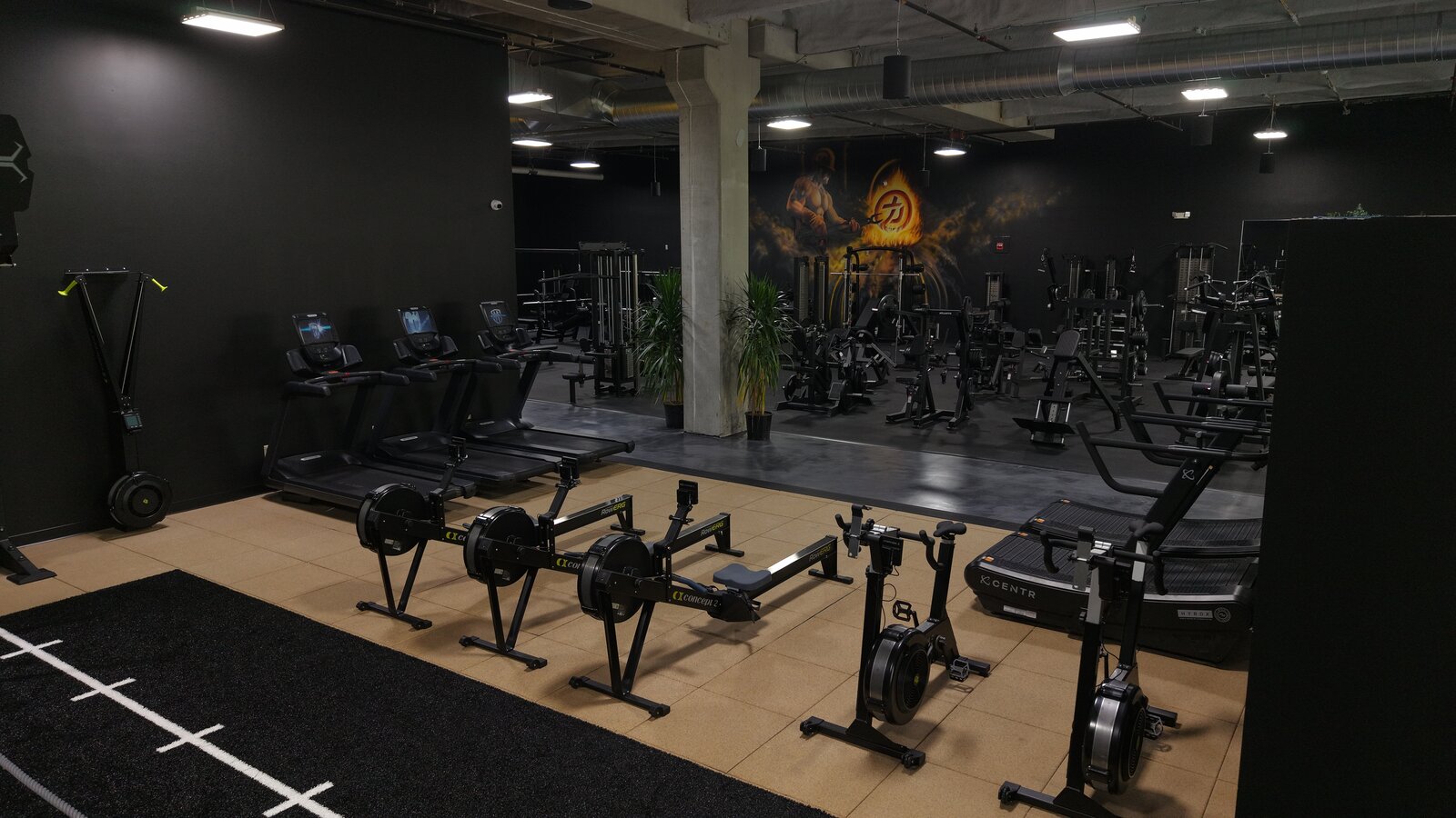 Cardio setup