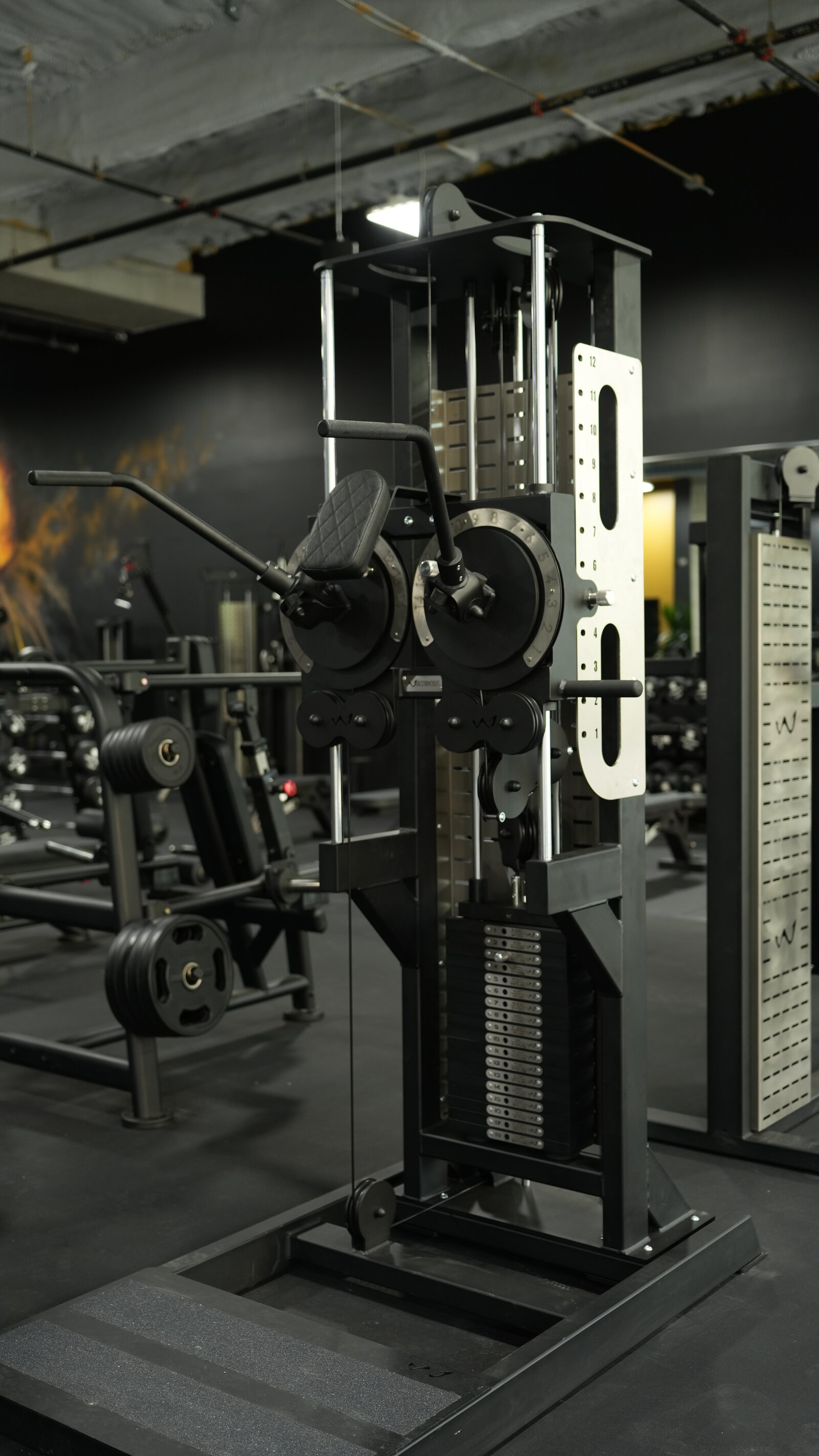 Watson Equipment at Essential Gym Pittsburgh