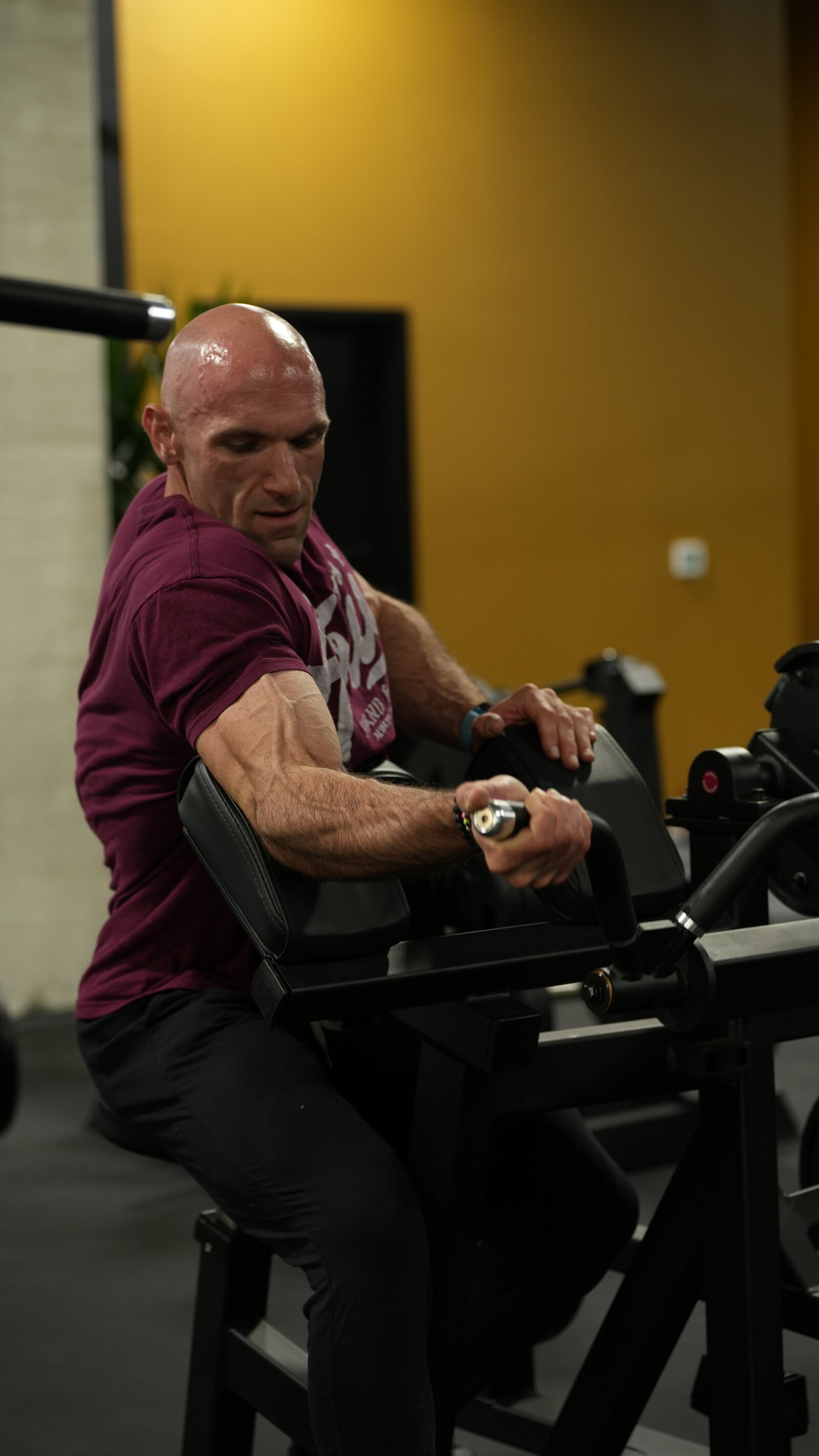 Atlantis biceps curl