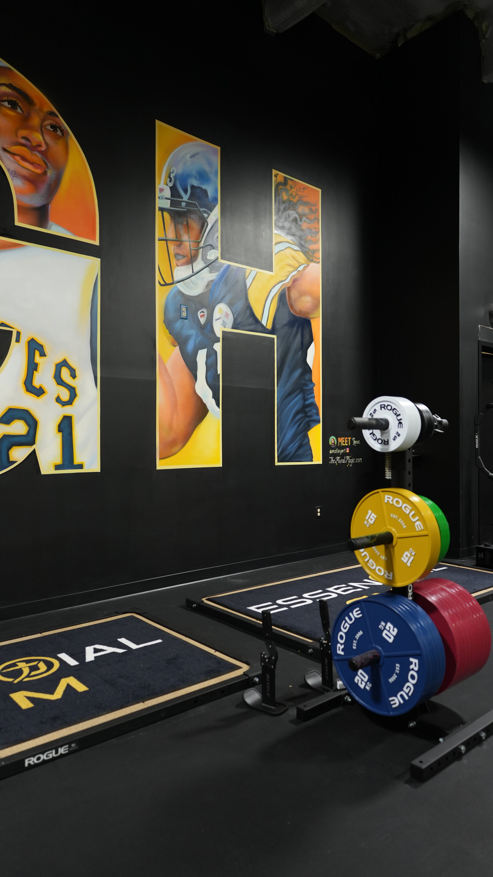 Rogue Powerlifting Station at Essential Gym Pittsburgh