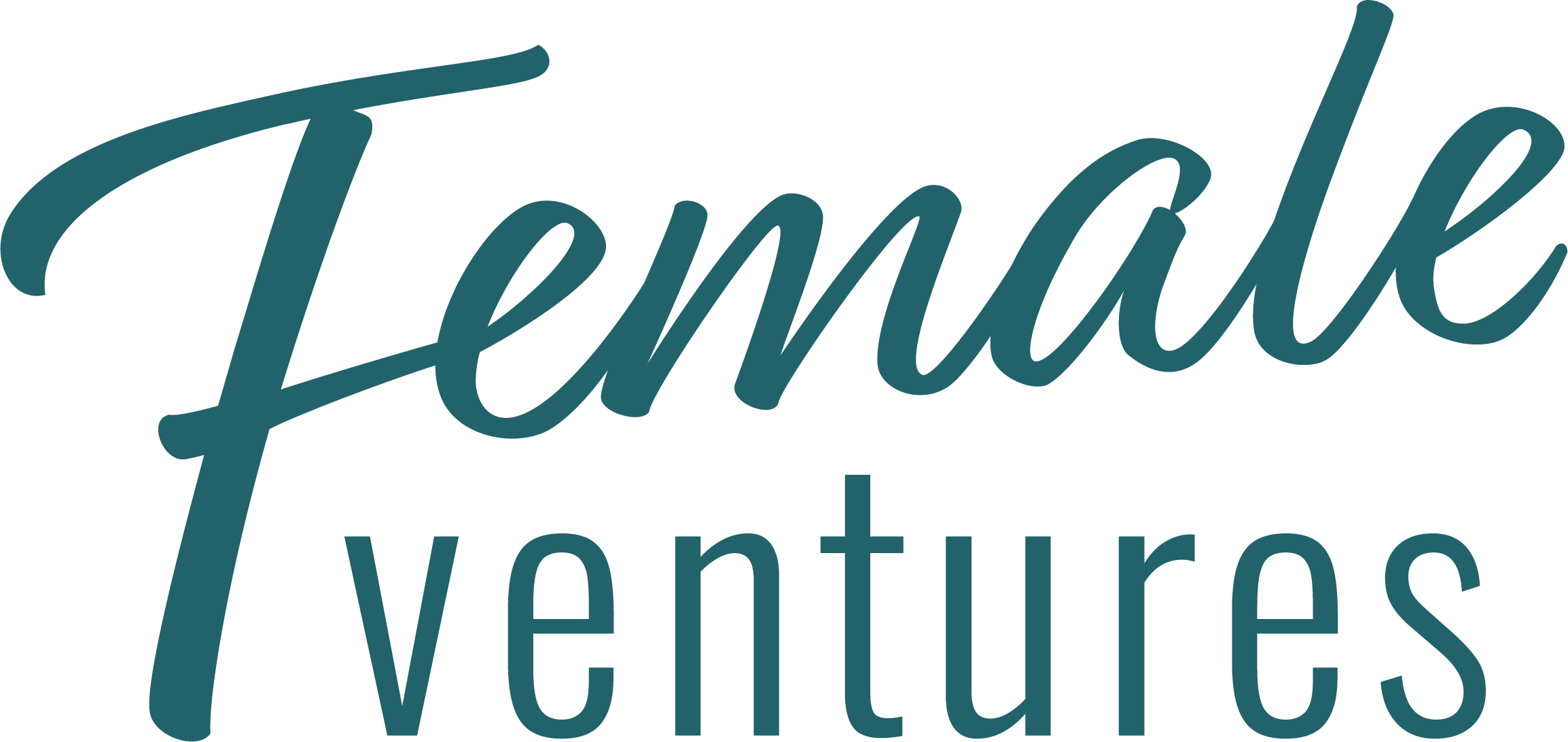 Logo showing the stylised text 'Female Ventures'.
