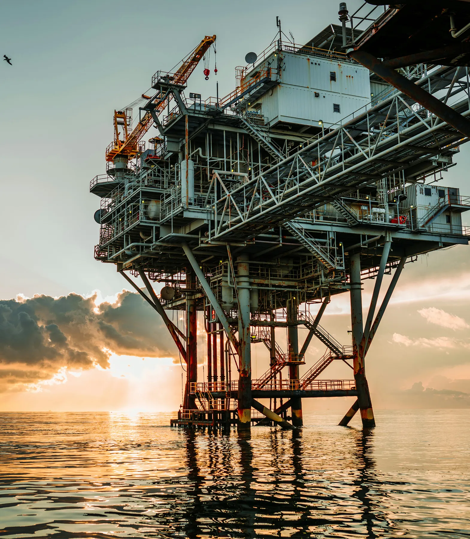 About-two-fda-process-1