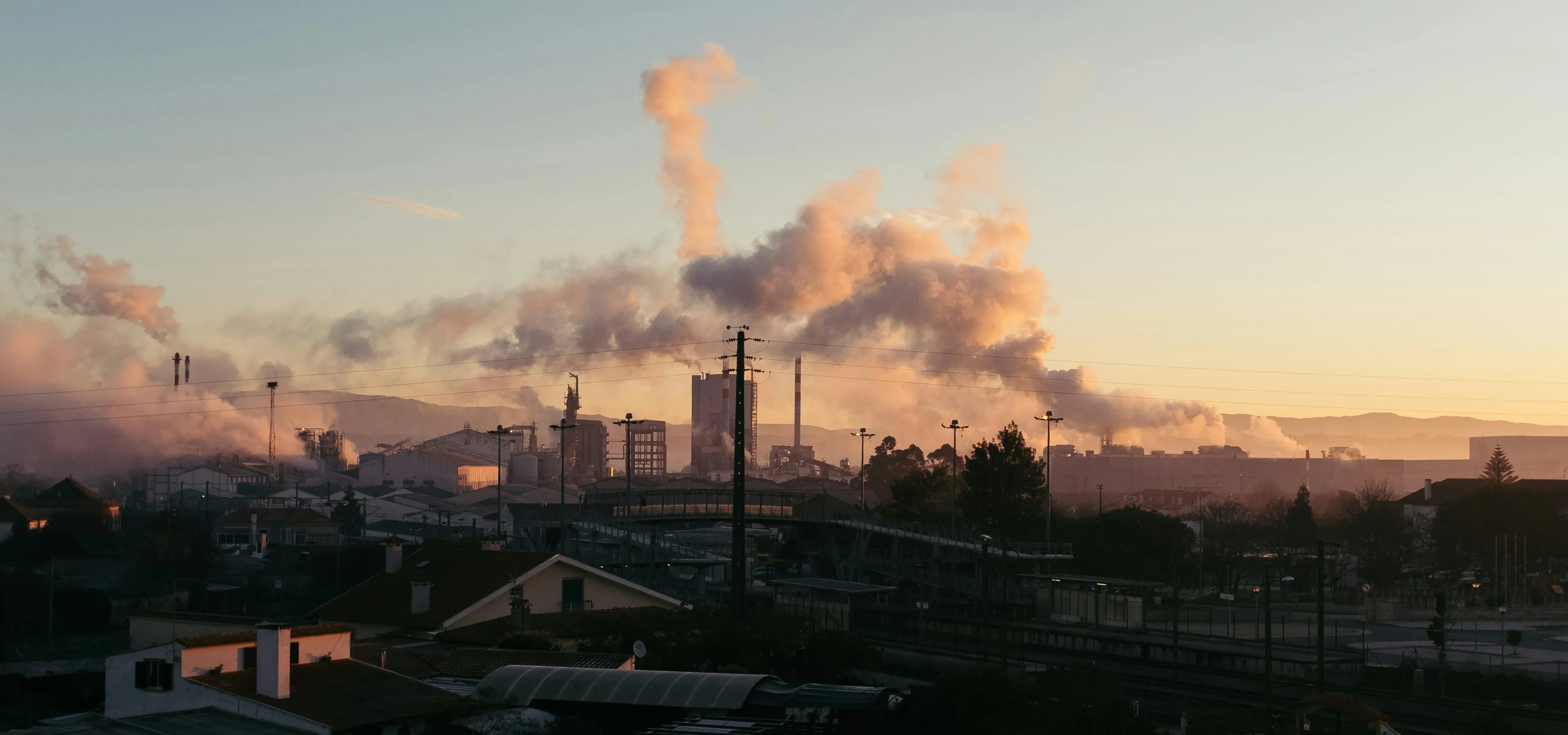 Service-two-banner-image