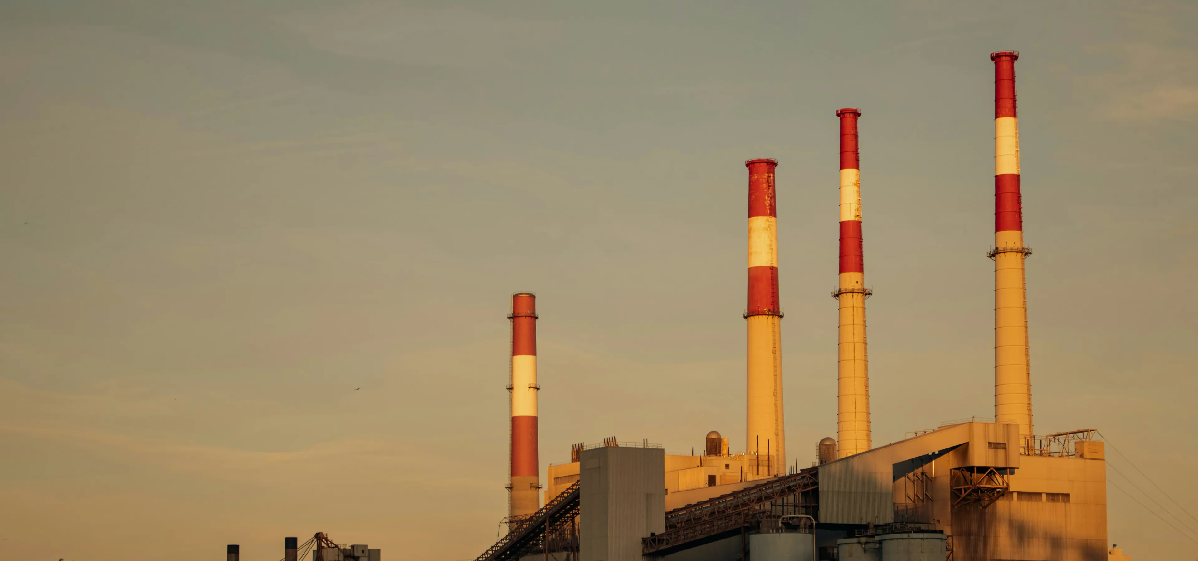 Service-one-banner-2a