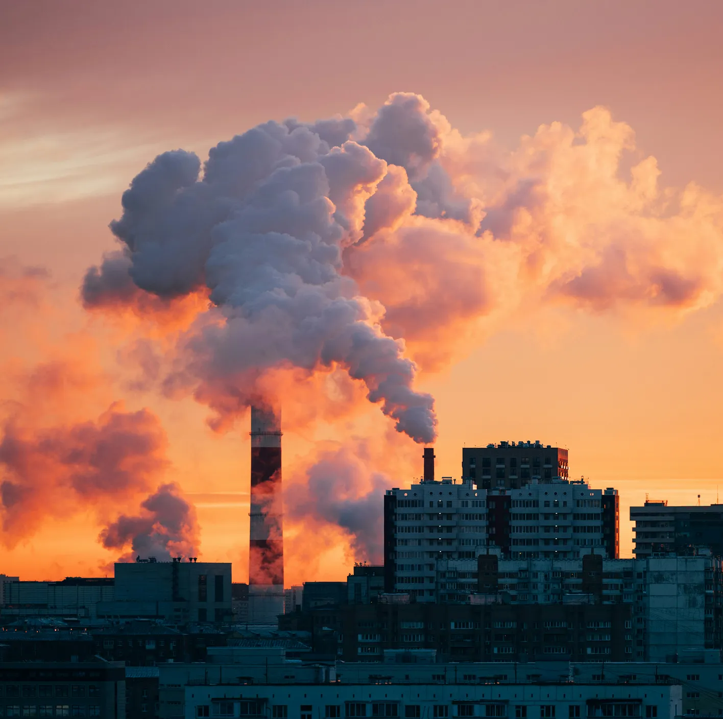 Optimized-service-three