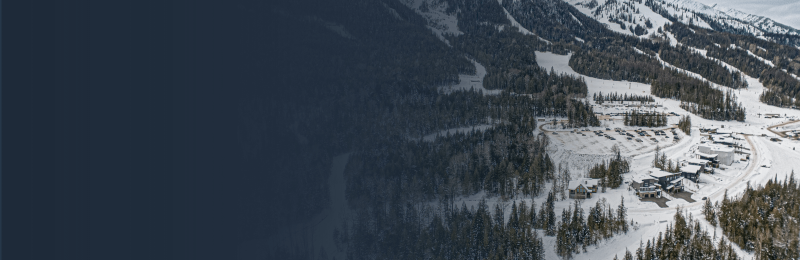 Designed to Last and Look Good