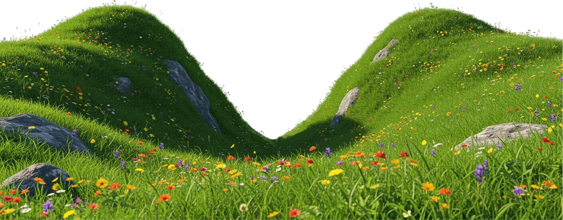 Green grassy hills with scattered colorful wildflowers and large gray rocks.