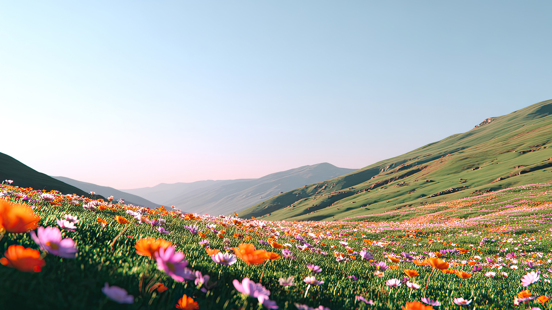 Field of vibrant wildflowers with pink, orange, and purple blooms stretching across green hills under a clear blue sky.