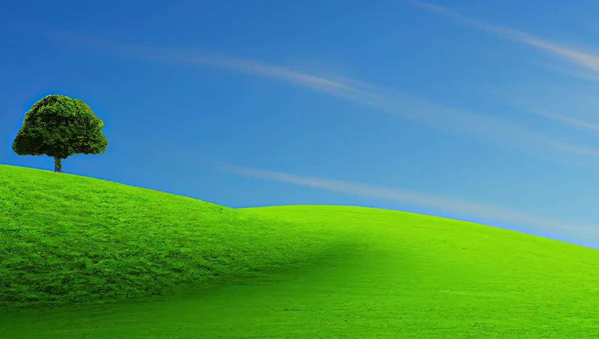 Blog Image