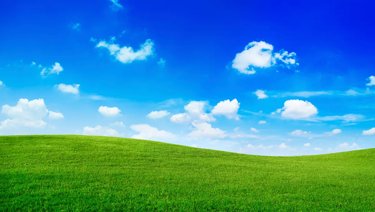 Blog Image