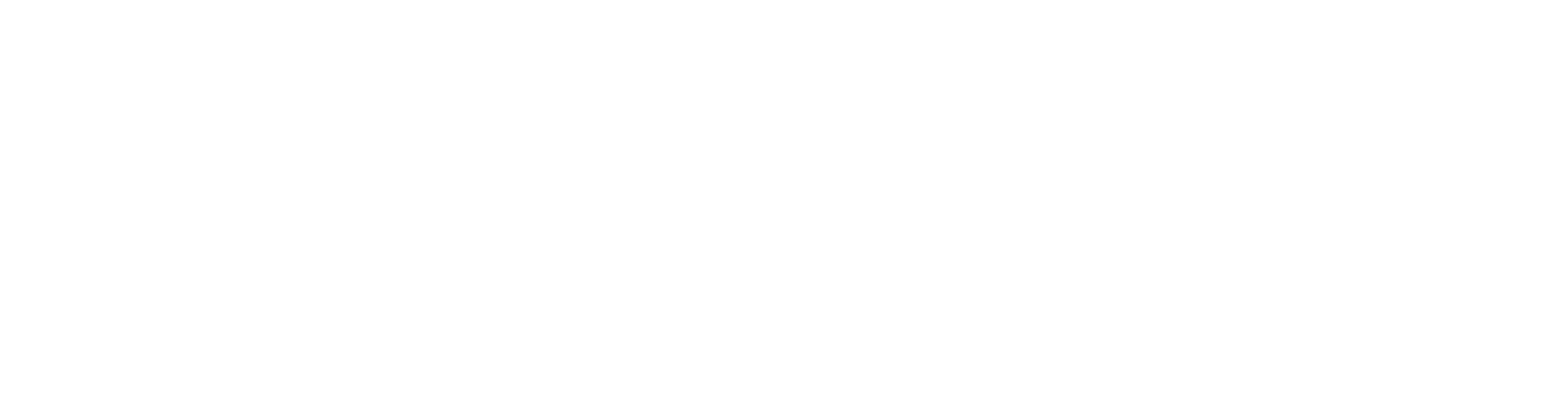 Solutions2Share Logo