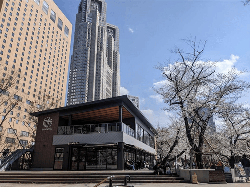 outdoor yoga by a tranquil lake
