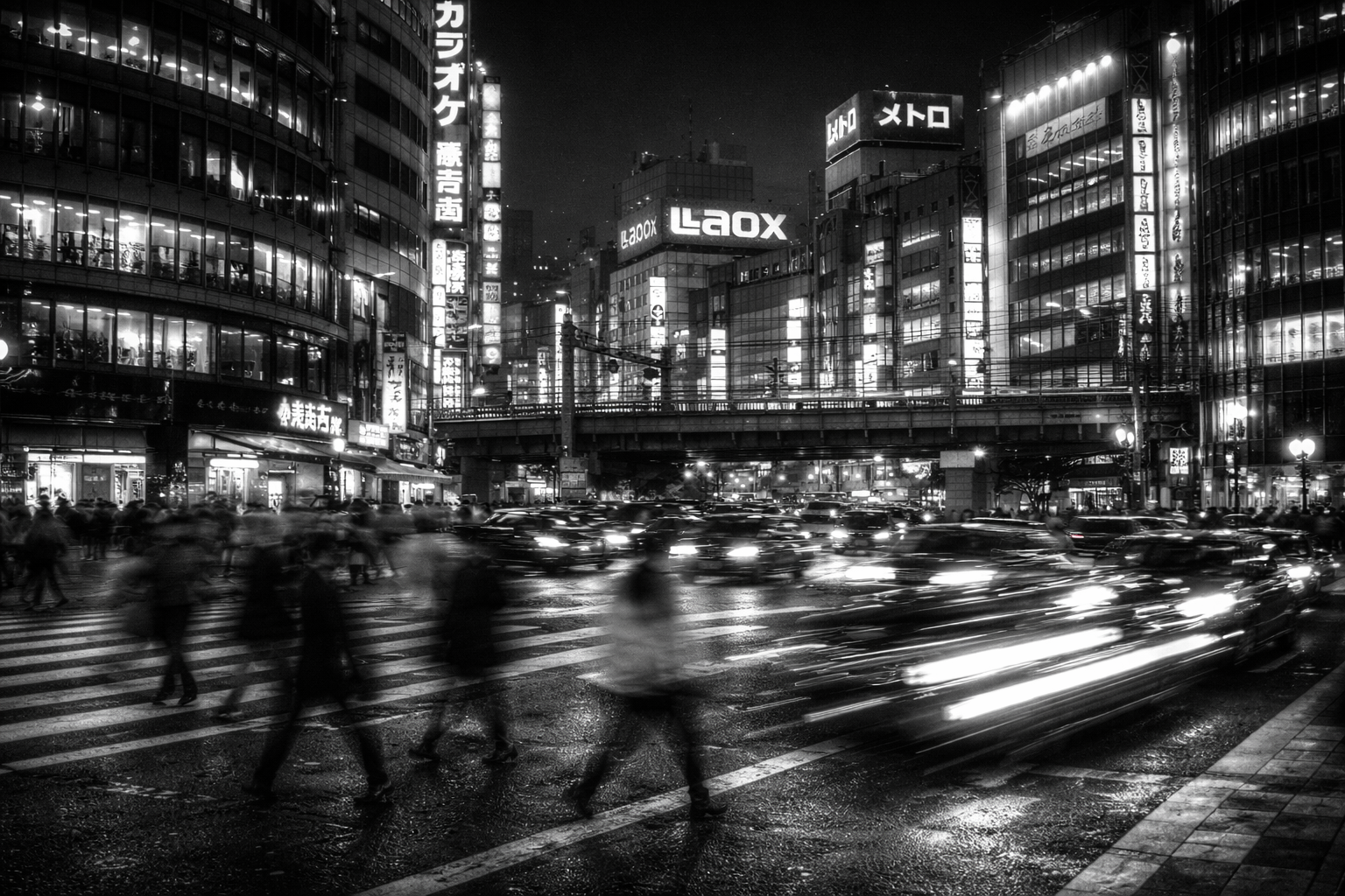 yoga gathering in nature
