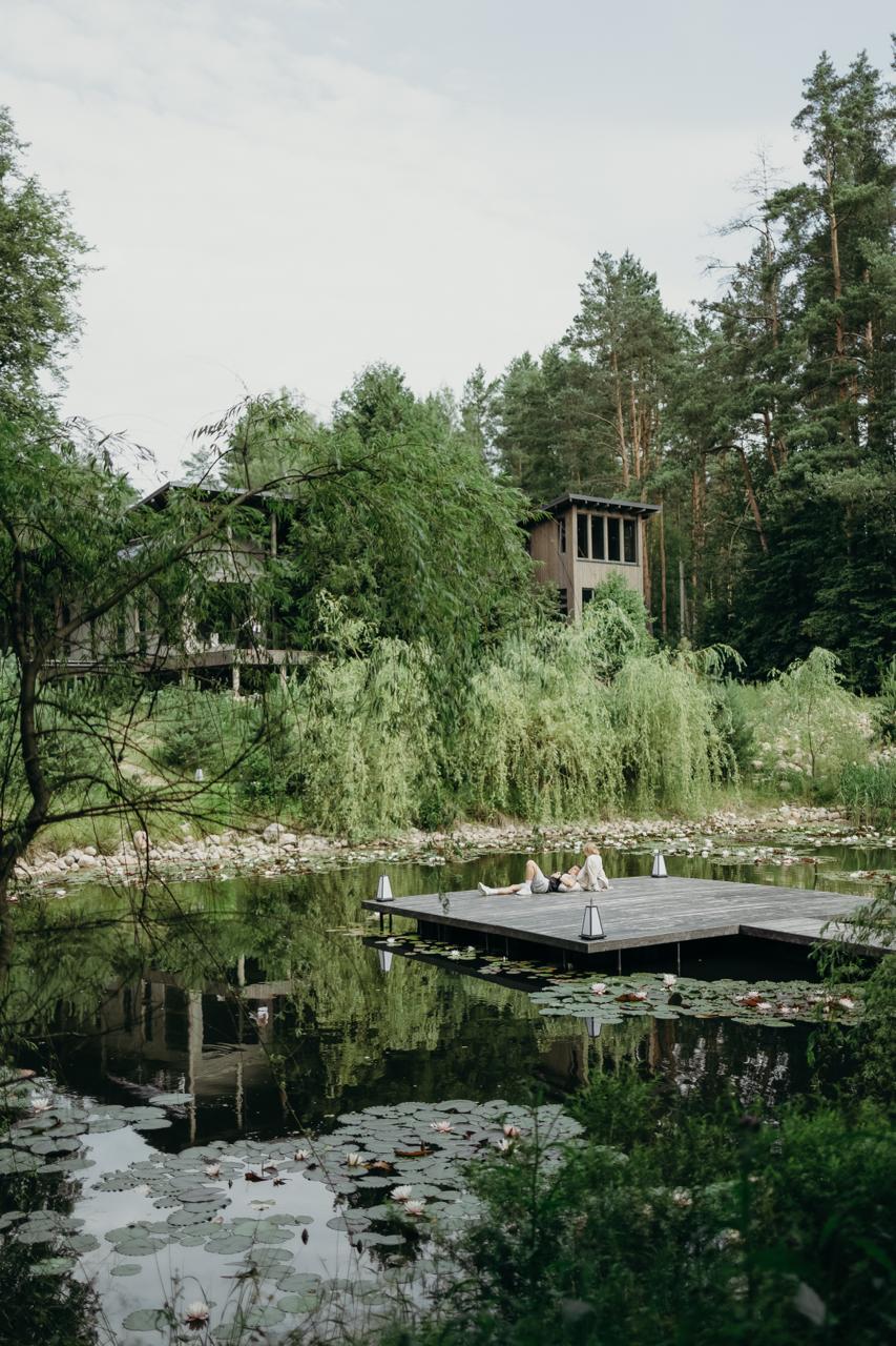 image of food truck festival