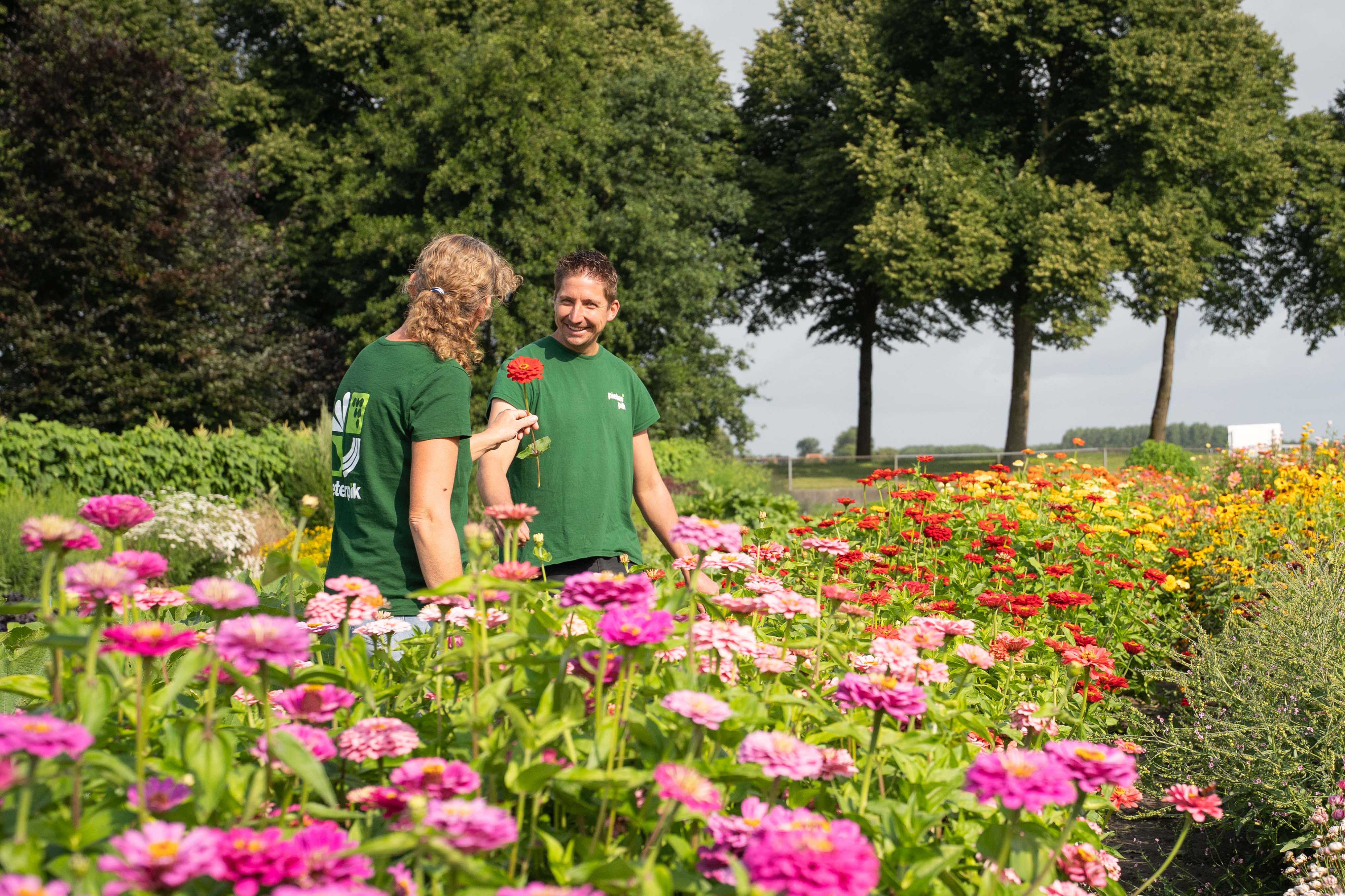 Wir sind immer auf der Suche nach Menschen, die eine Leidenschaft für Saatgut mitbringen, motiviert sind, sich persönlich weiterzuentwickeln und einen Beitrag zum Wachstum unseres Unternehmens zu leisten.