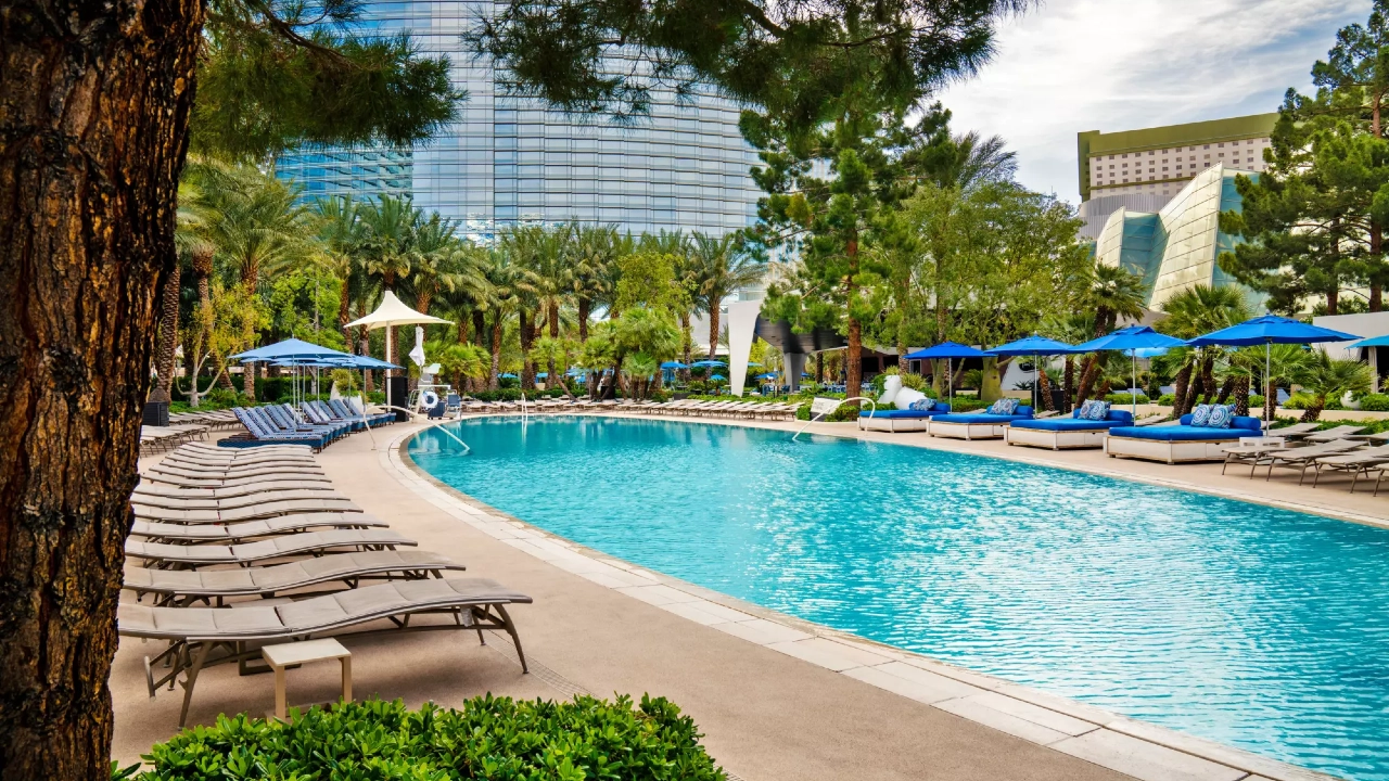 Pool at Aria Resort and Casino Las Vegas